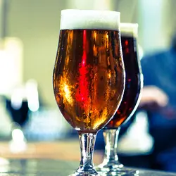 Craft Beer & Breweries